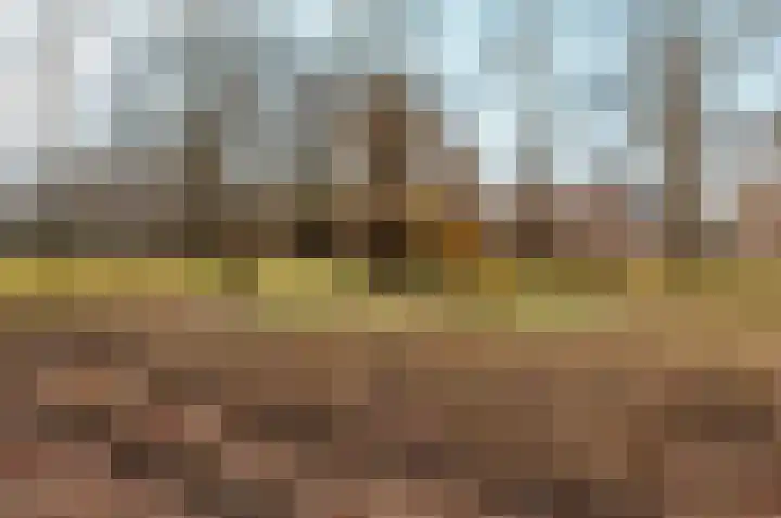 Groenhof 138 Almere thumbnail 35