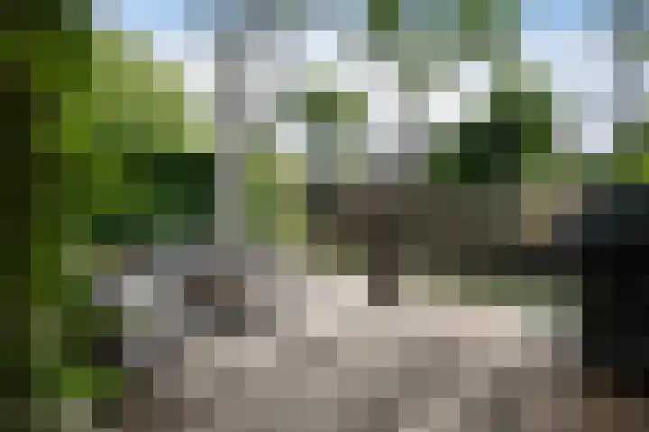 Groenhof 19 Blaricum thumbnail 23