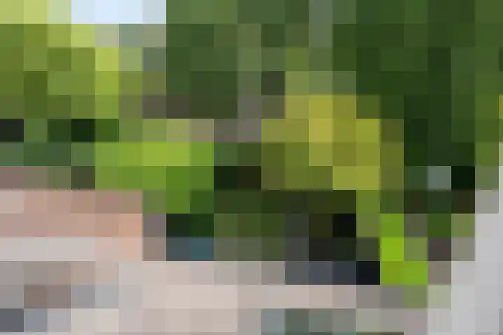 Groenhof 19 Blaricum thumbnail 5