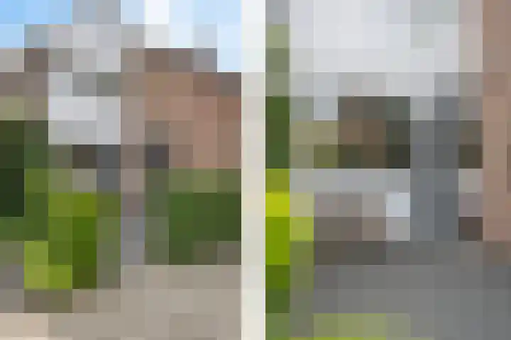 Groenhof 19 Blaricum thumbnail 7