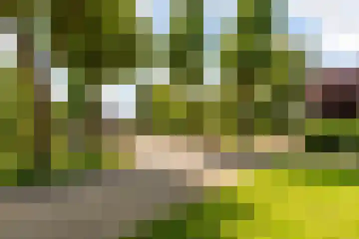 Groenhof 190 Almere thumbnail 51