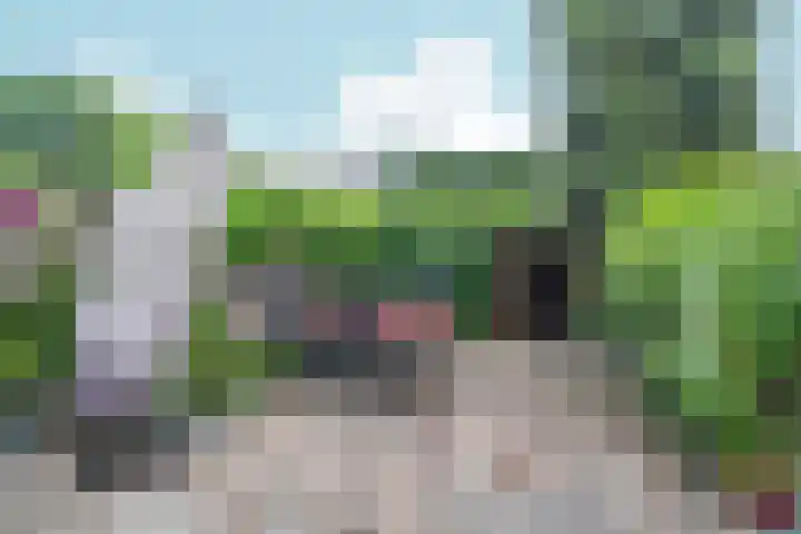 Groenhof 23 Almere thumbnail 27