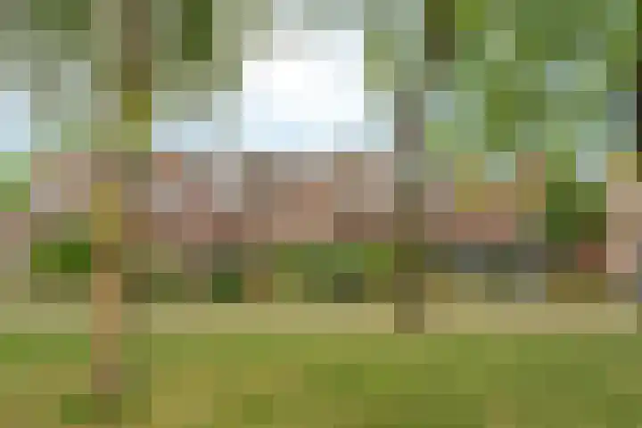 Groenhof 23 Almere thumbnail 34