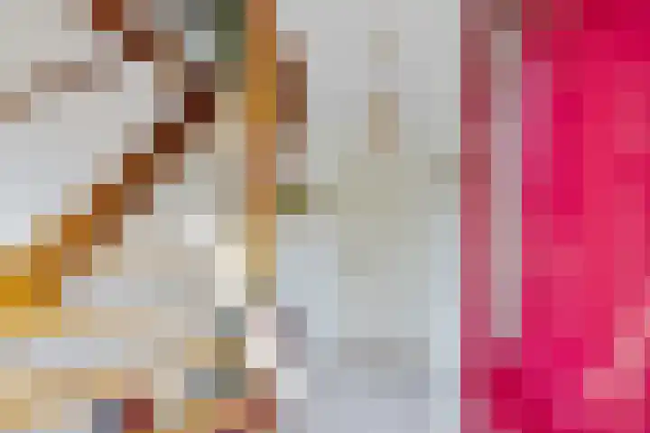Groenhof 26 Joure thumbnail 10