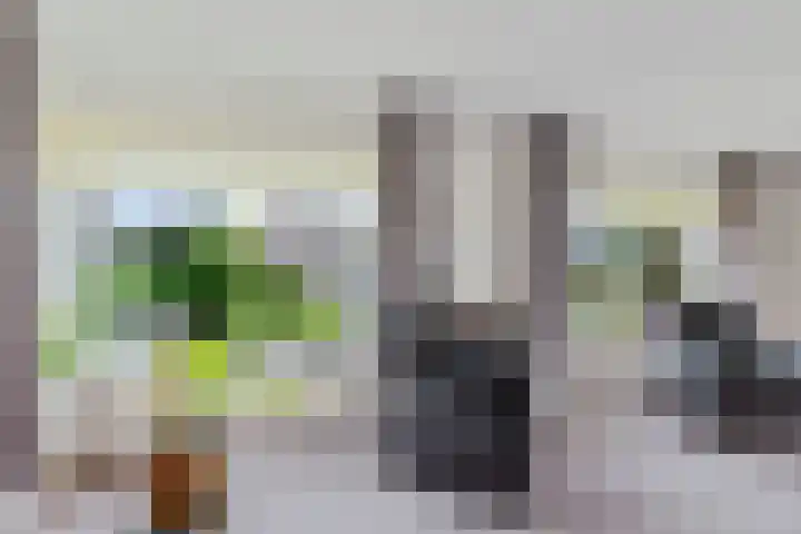 Groenhof 26 Joure thumbnail 13