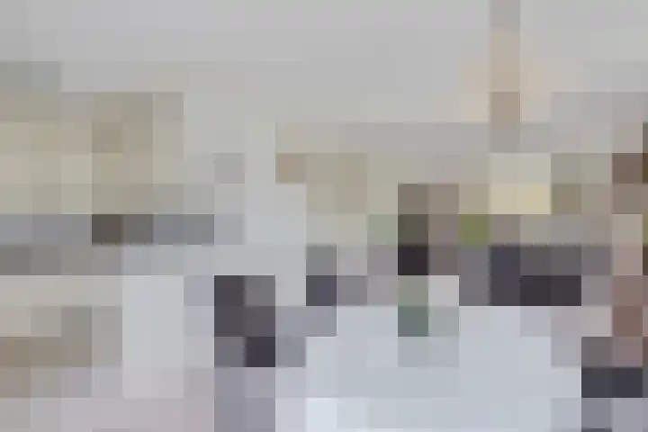 Groenhof 26 Joure thumbnail 19