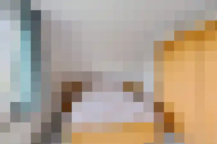 Groenhof 26 Joure thumbnail 34