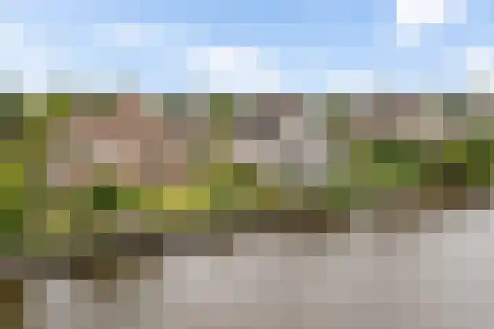 Groenhof 26 Joure thumbnail 4