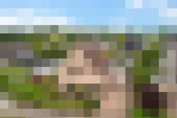 Groenhof 26 Joure thumbnail 43