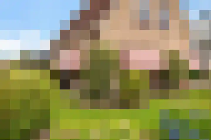 Groenhof 26 Joure thumbnail 44