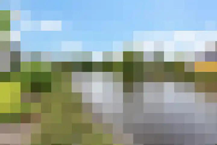 Groenhof 26 Joure thumbnail 5