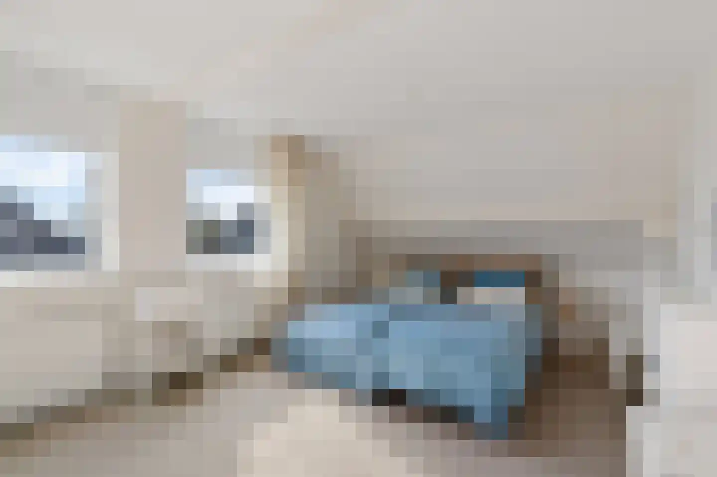 Groenhof 28 a Joure thumbnail 26