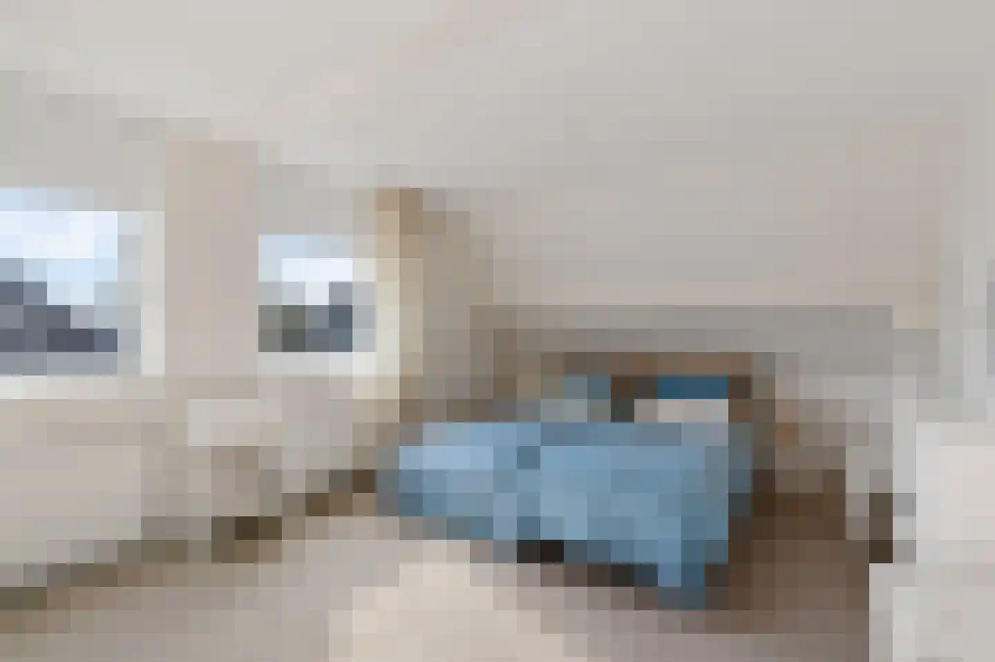 Groenhof 28 a Joure thumbnail 27