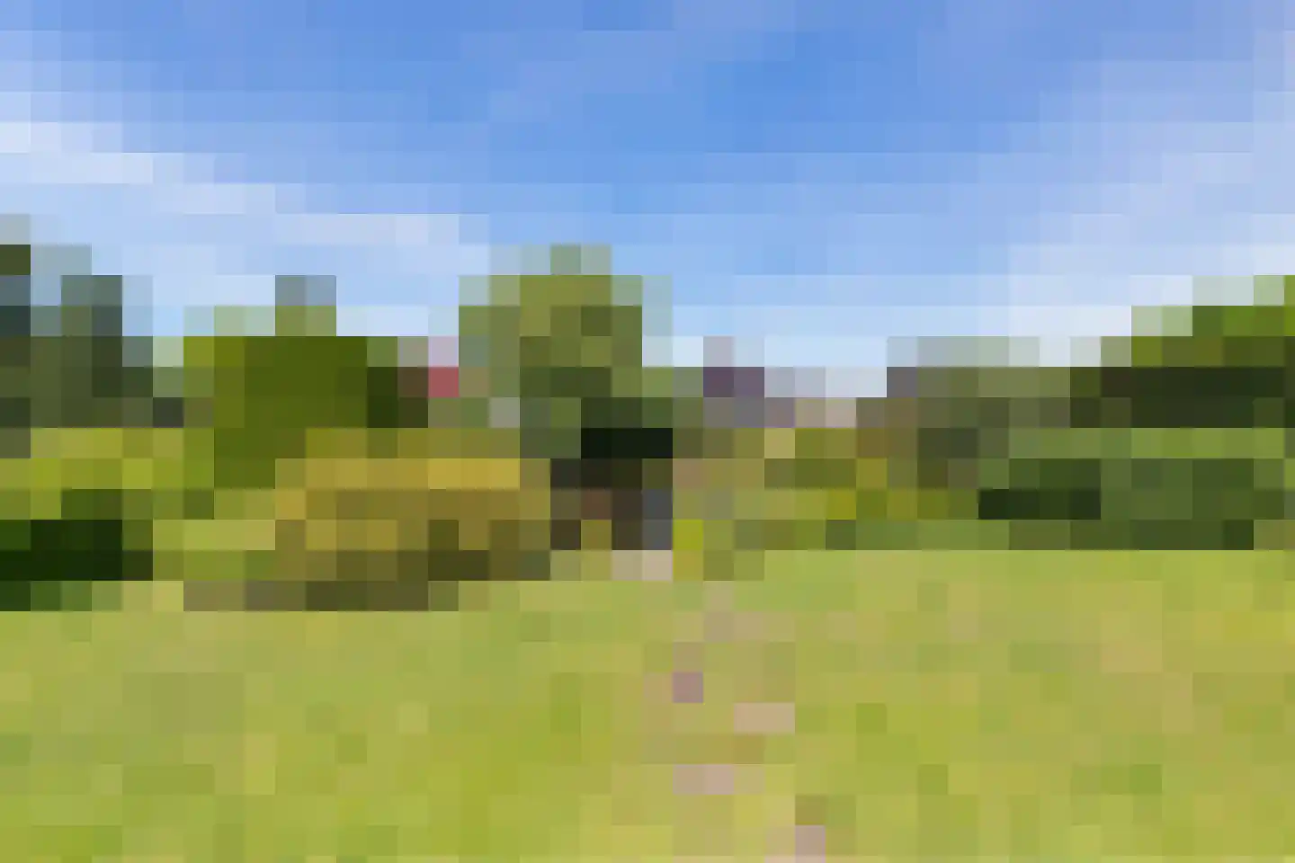 Groenhof 28 a Joure thumbnail 36