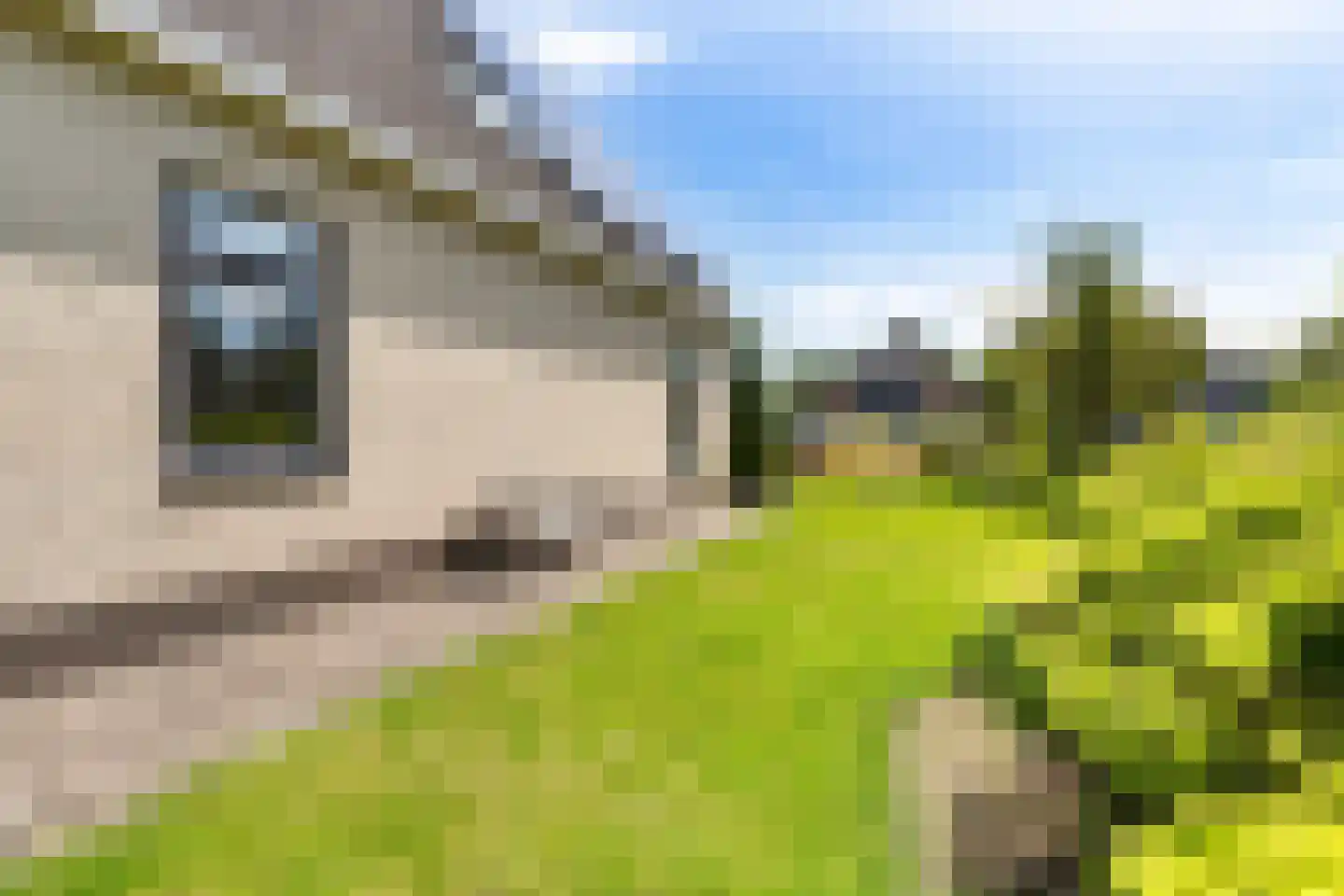 Groenhof 28 a Joure thumbnail 39