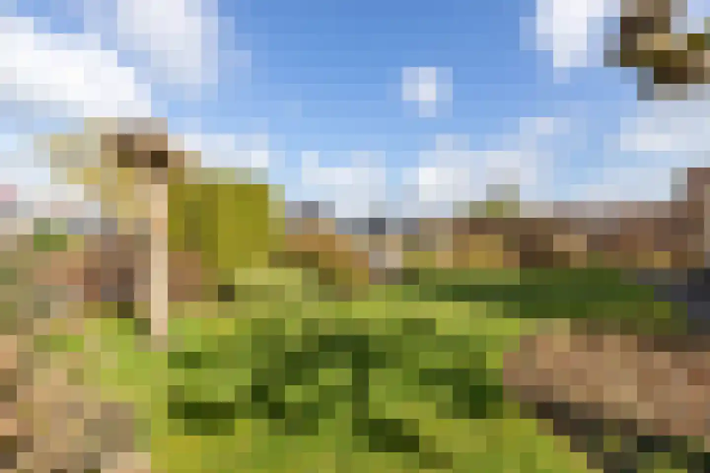 Groenhof 28 a Joure thumbnail 41