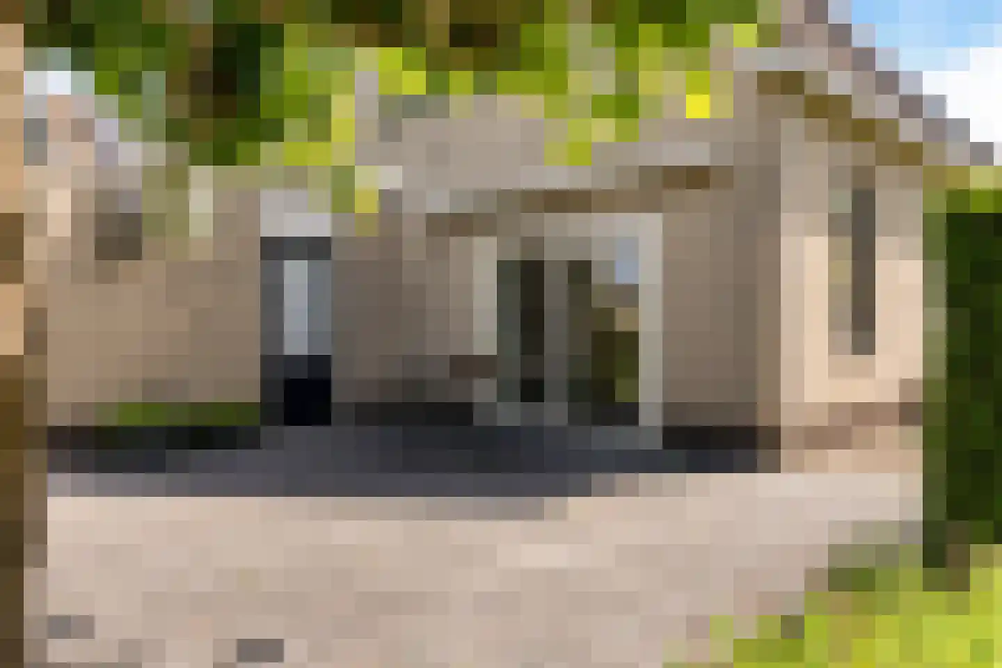 Groenhof 28 a Joure thumbnail 41