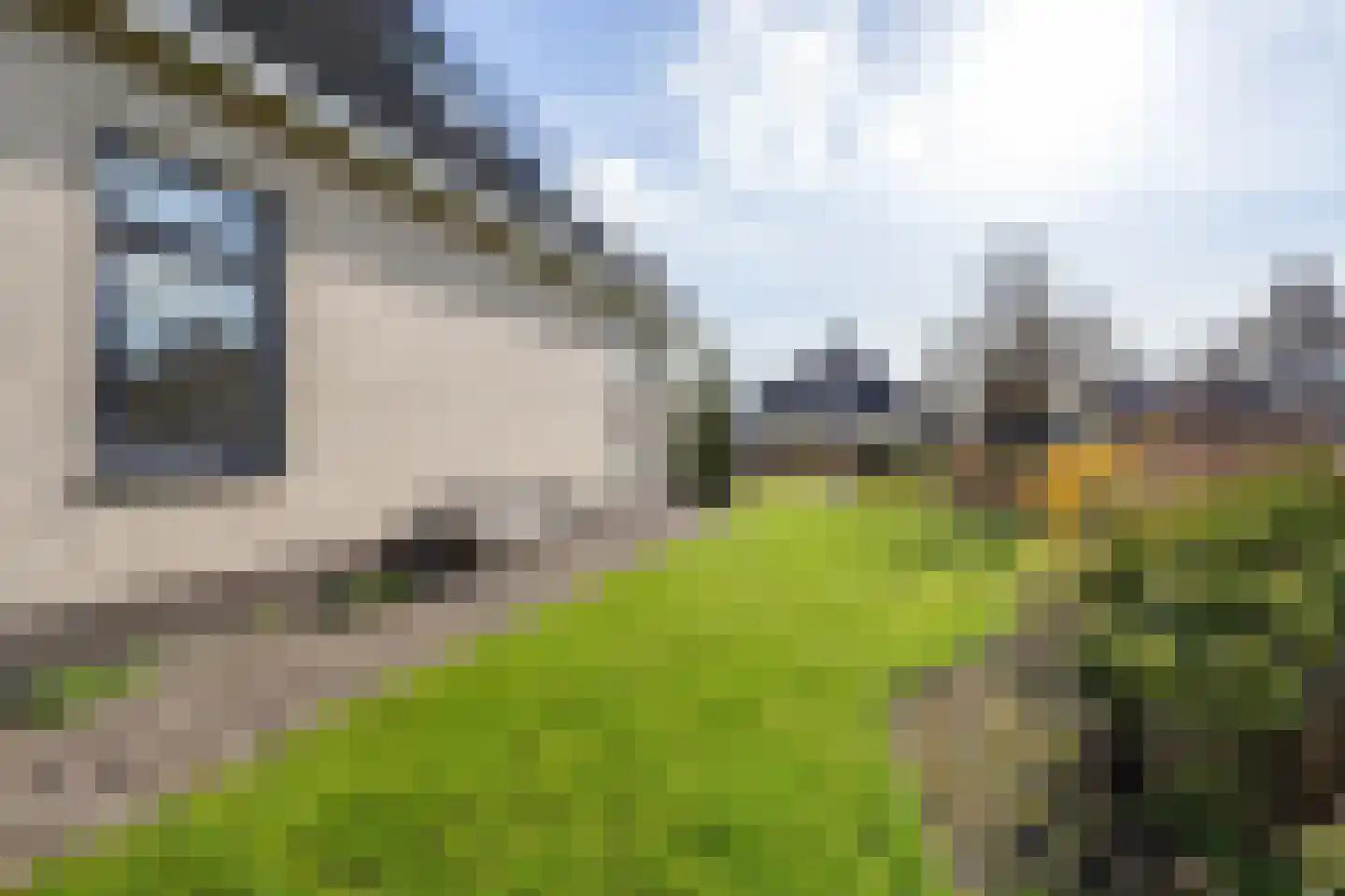 Groenhof 28 a Joure thumbnail 43