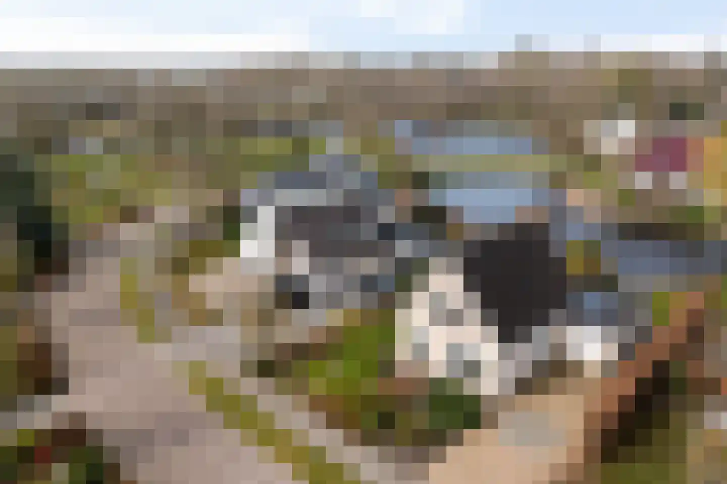 Groenhof 28 a Joure thumbnail 5