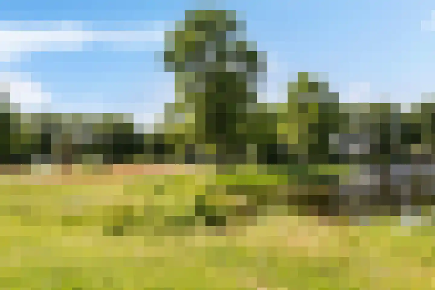 Groenhof 28 a Joure thumbnail 53