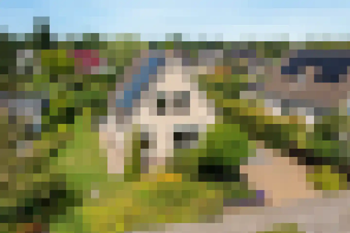 Groenhof 28 a Joure thumbnail 6