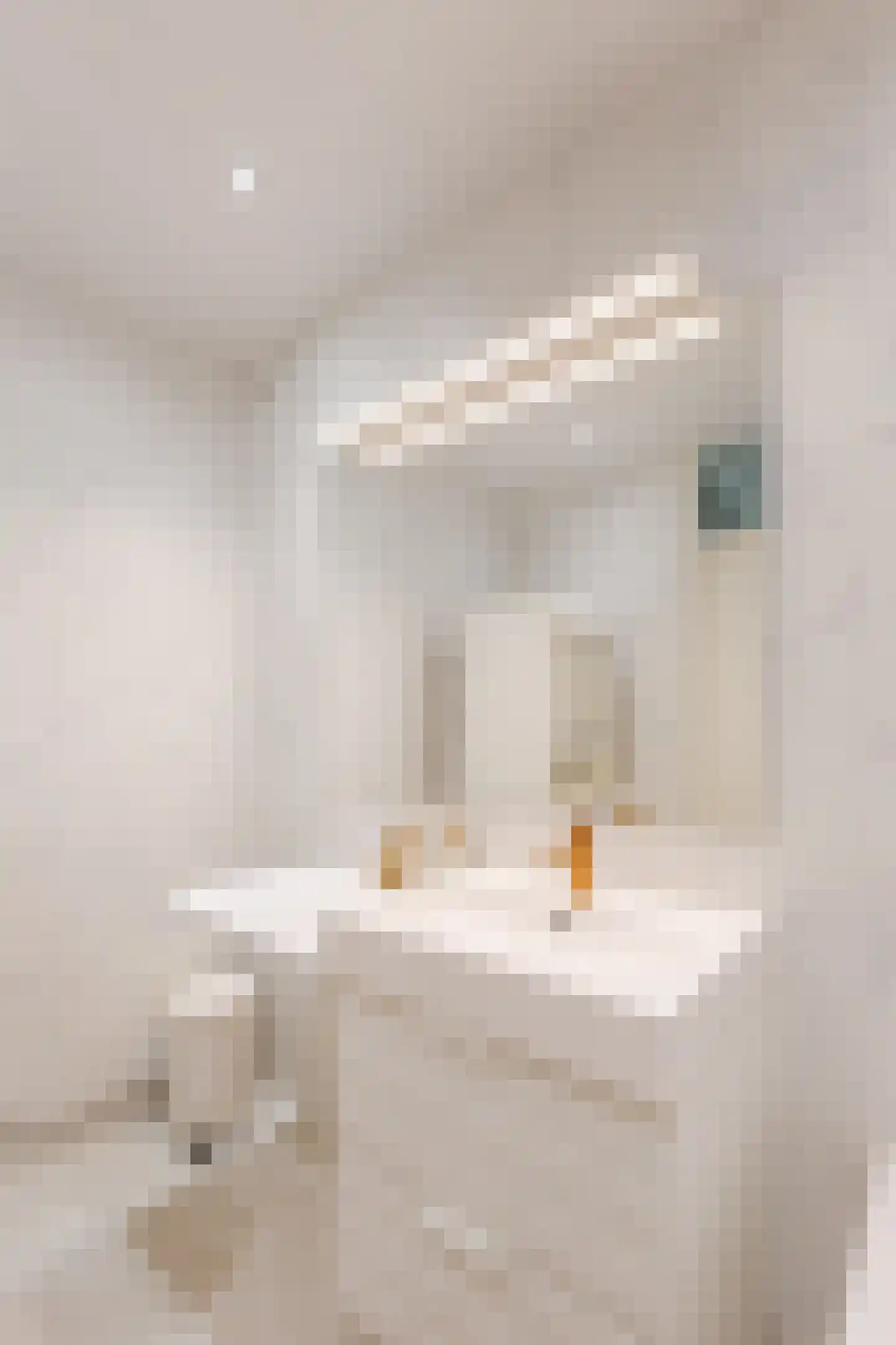 Groenhof 343 Amstelveen thumbnail 27