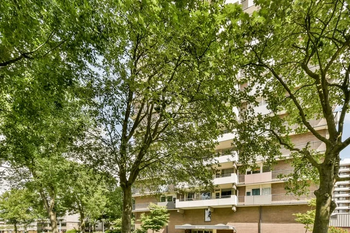 Groenhof 349 Amstelveen thumbnail 20
