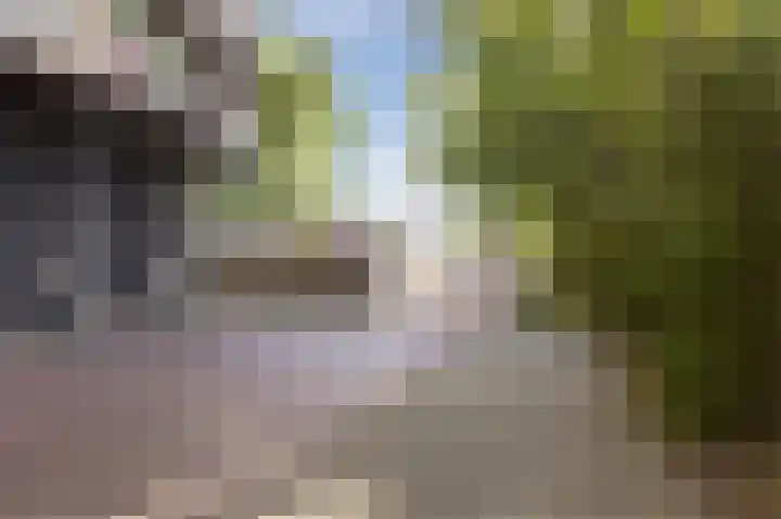 Groenhof 366 Amstelveen thumbnail 37