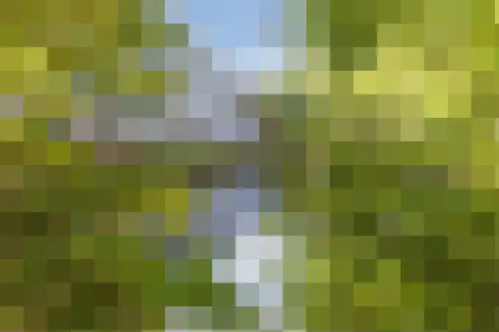 Groenhof 366 Amstelveen thumbnail 42