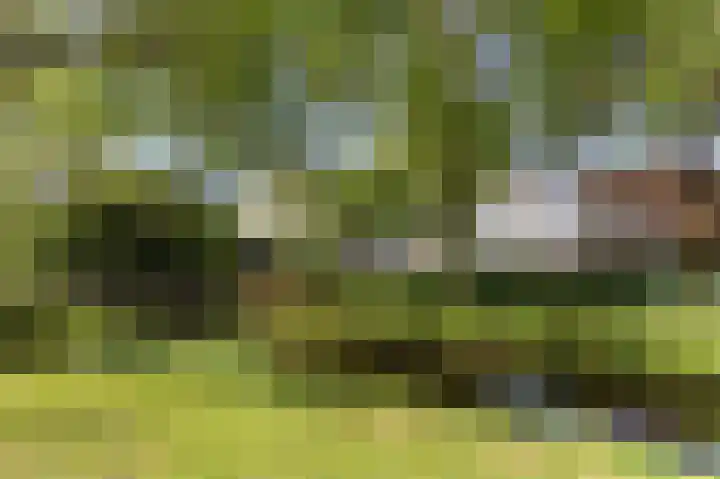 Groenhof 366 Amstelveen thumbnail 44