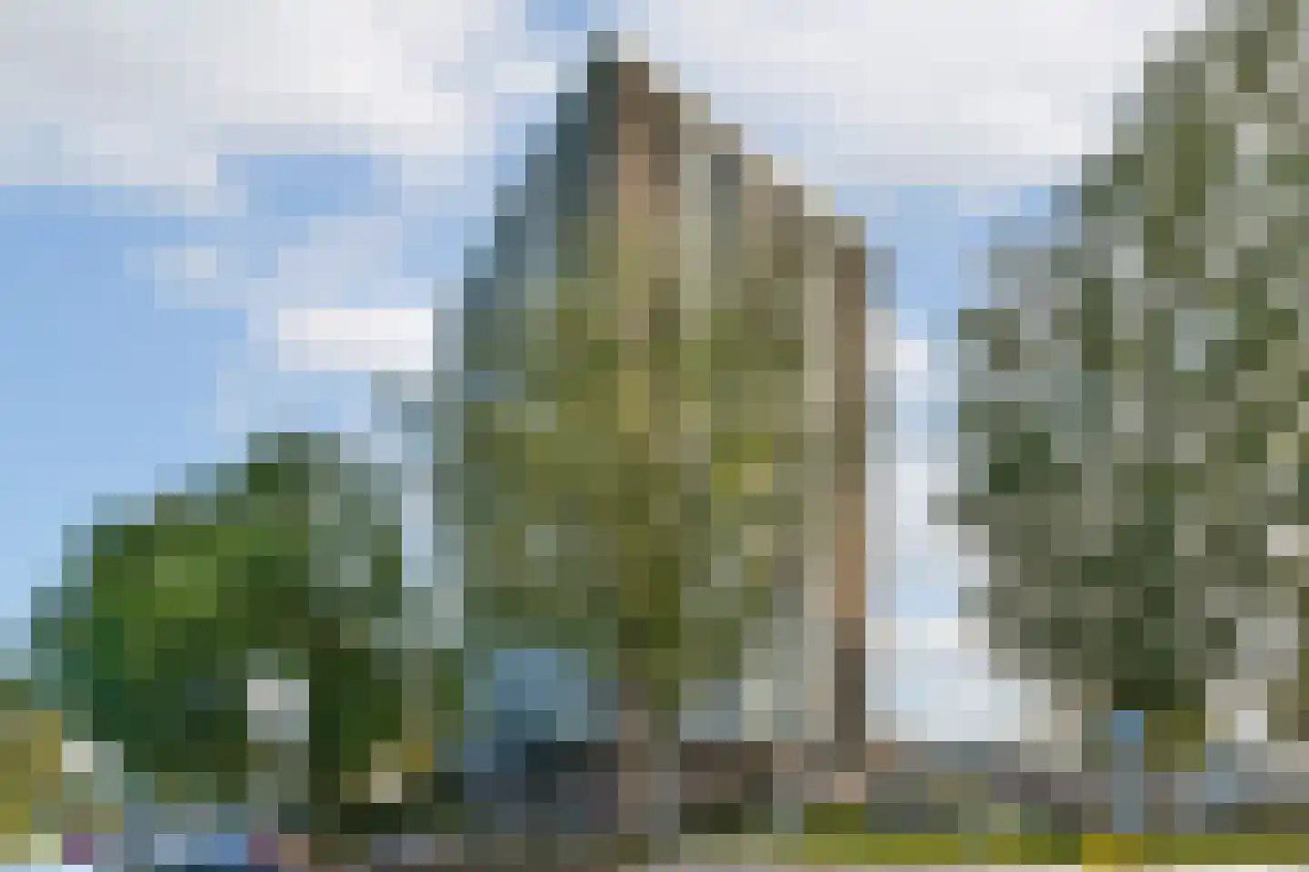 Groenhof 378 in Amstelveen