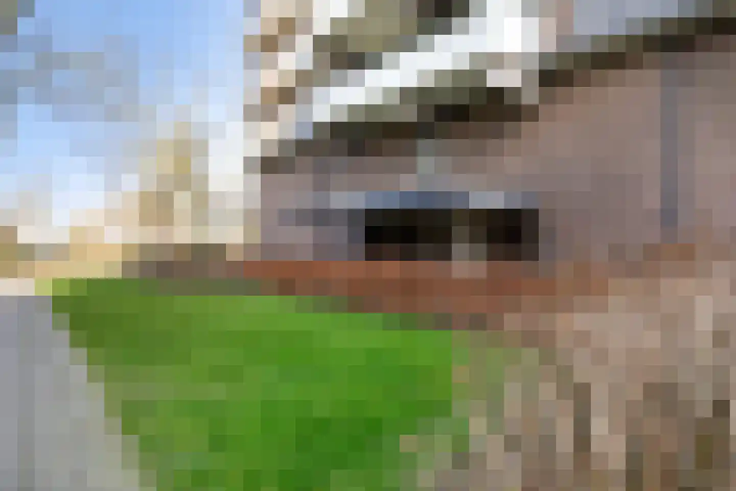 Groenhof 379 Amstelveen thumbnail 28