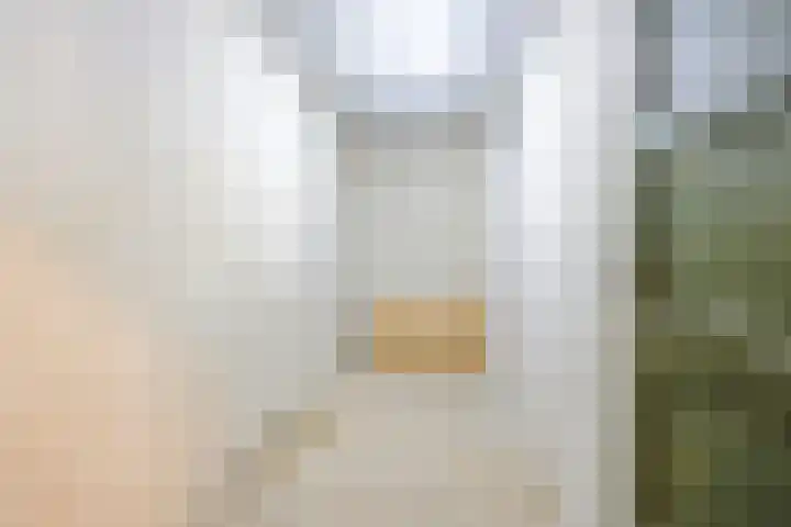 Groenhof 389 Amstelveen thumbnail 30