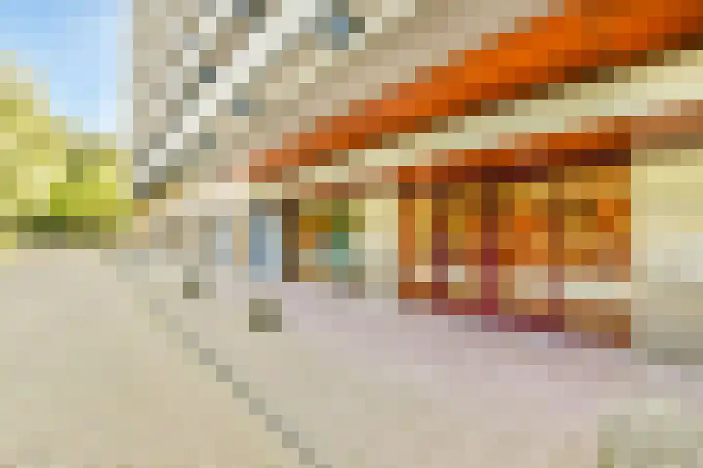 Groenhof 40 Amstelveen thumbnail 12