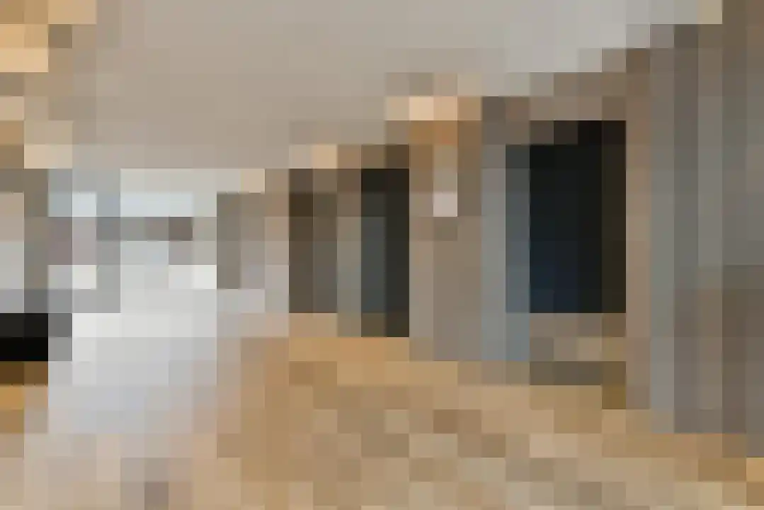 Groenhof 40 Amstelveen thumbnail 17