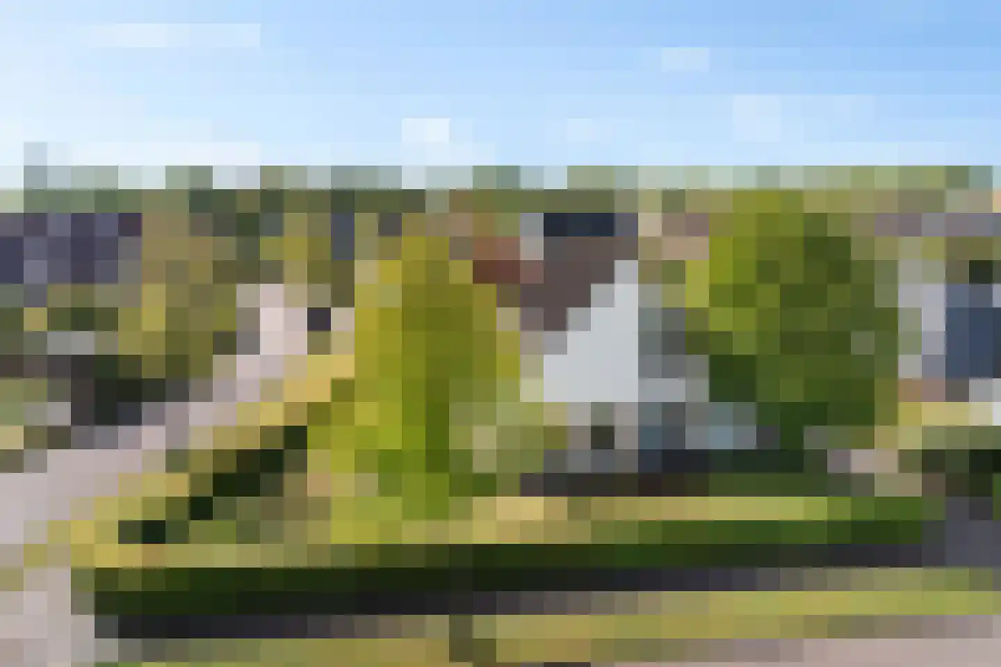 Groenhof 40 Joure thumbnail 4
