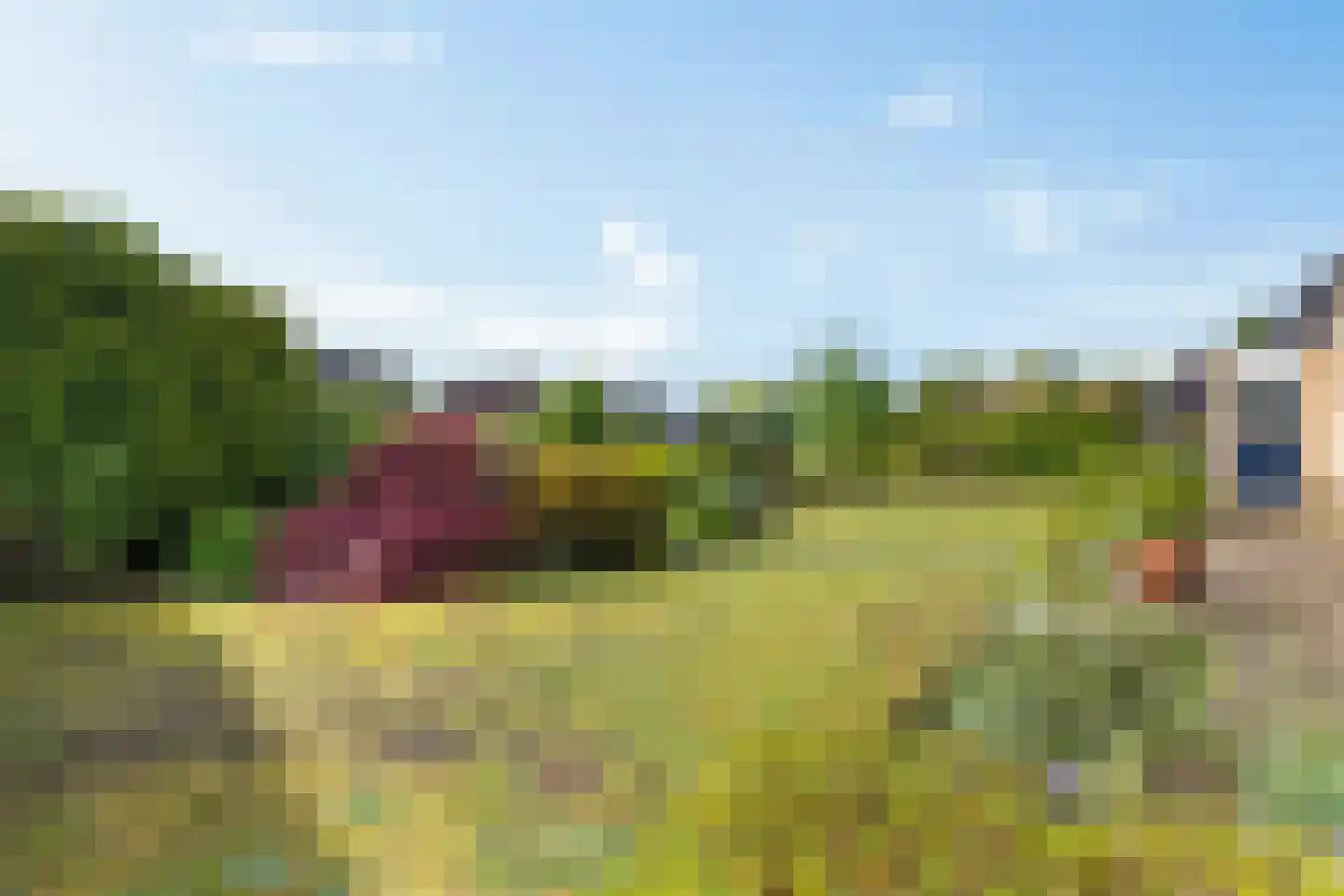 Groenhof 40 Joure thumbnail 41