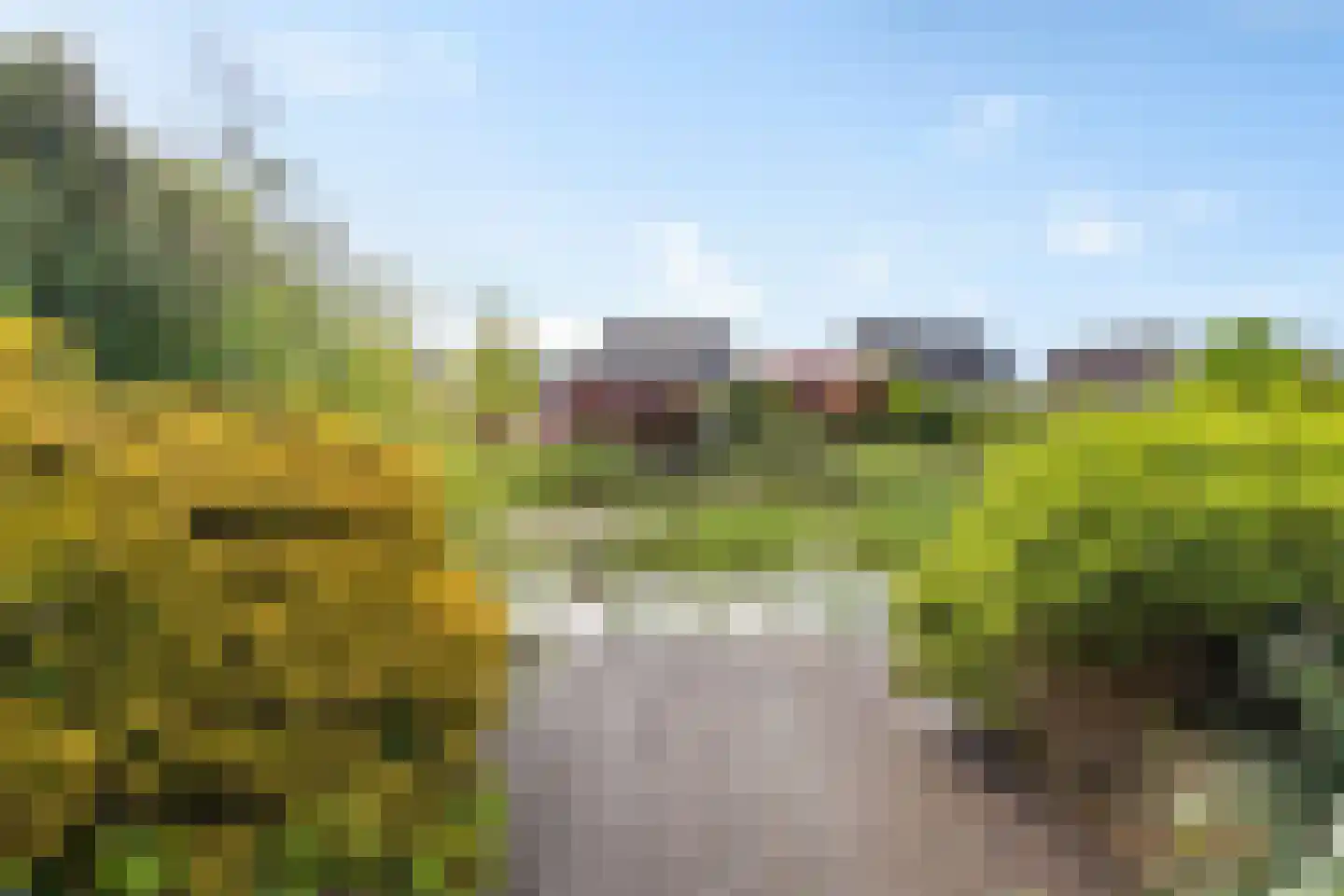 Groenhof 40 Joure thumbnail 43