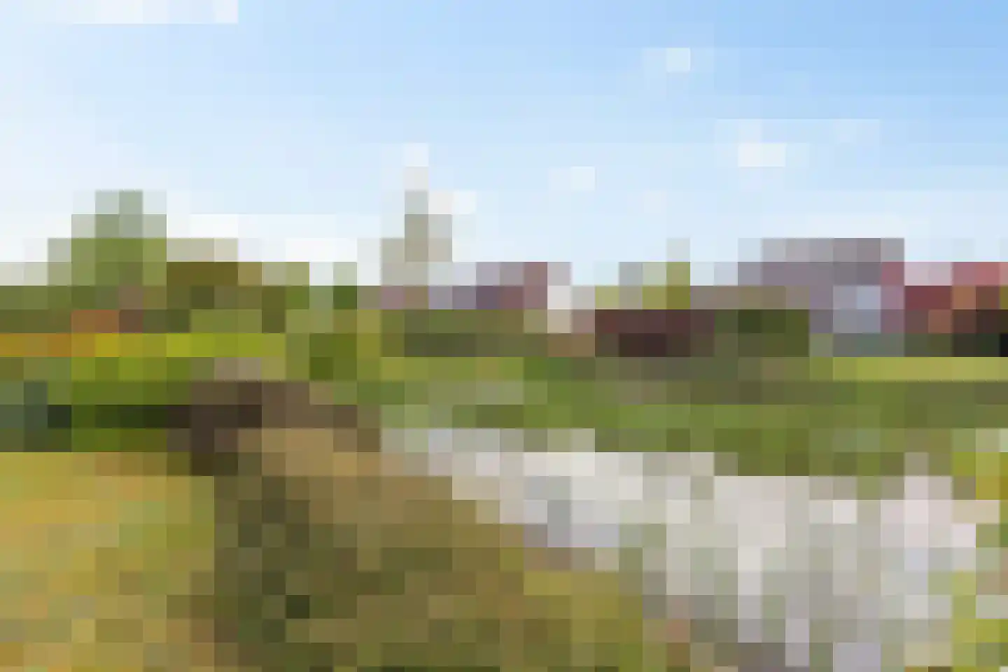 Groenhof 40 Joure thumbnail 45