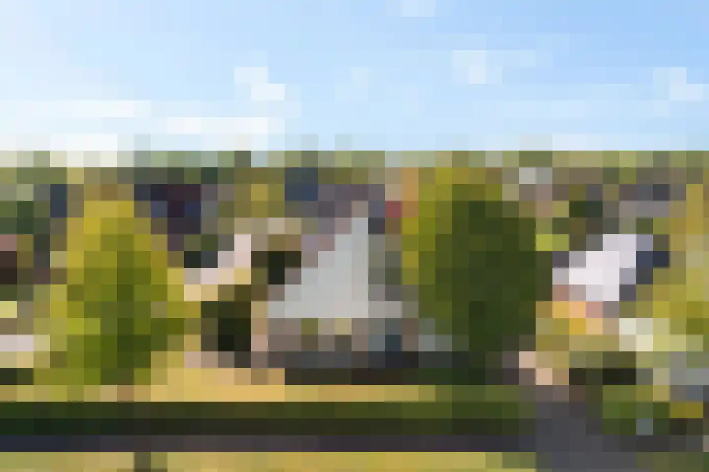 Groenhof 40 Joure thumbnail 48