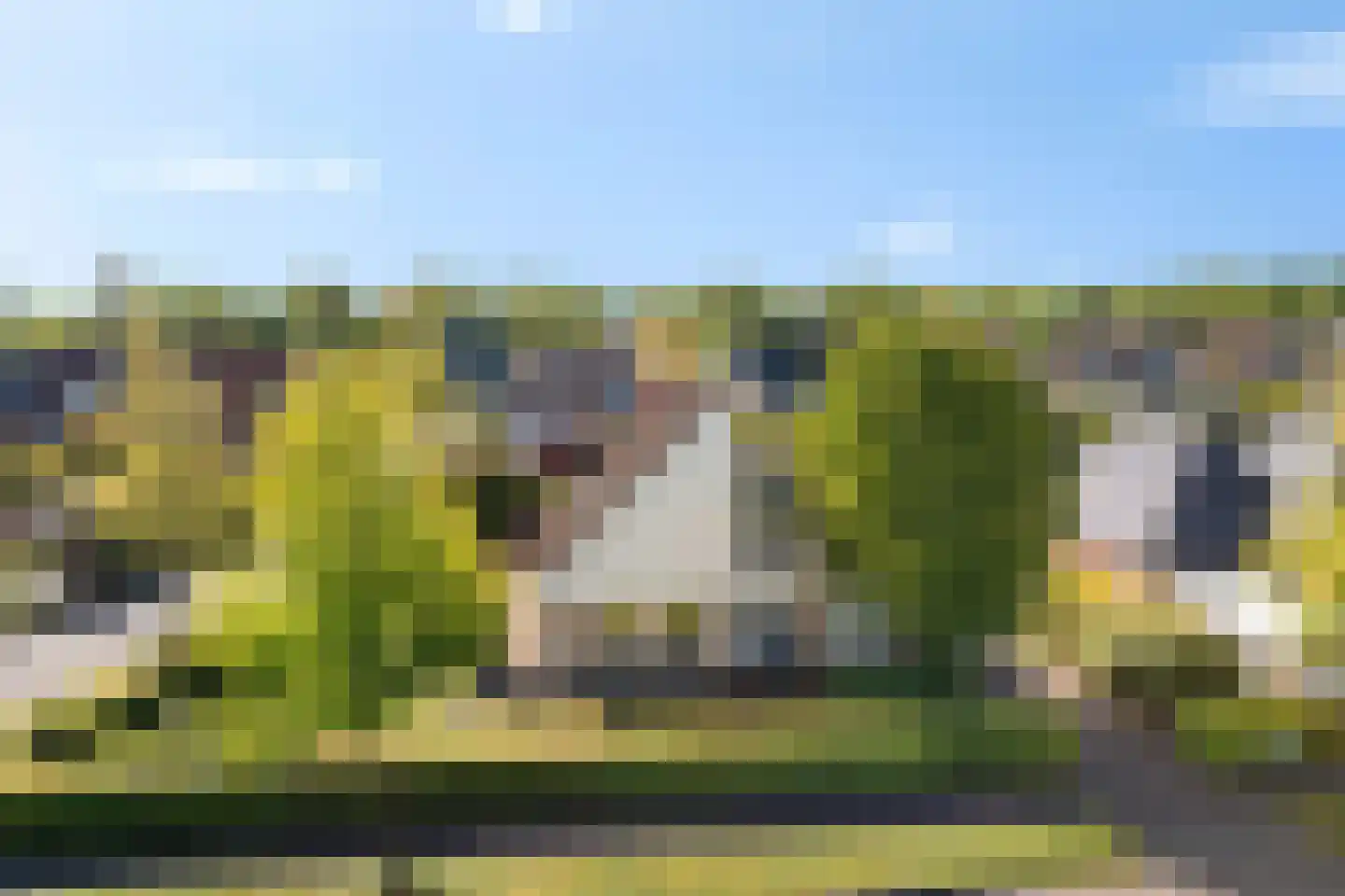Groenhof 40 Joure thumbnail 51