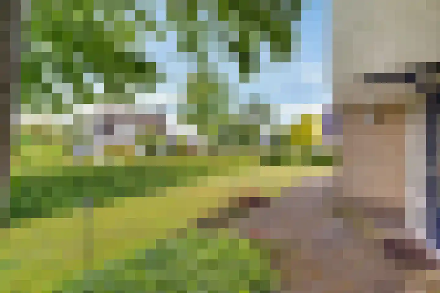 Groenhof 40 Joure thumbnail 8