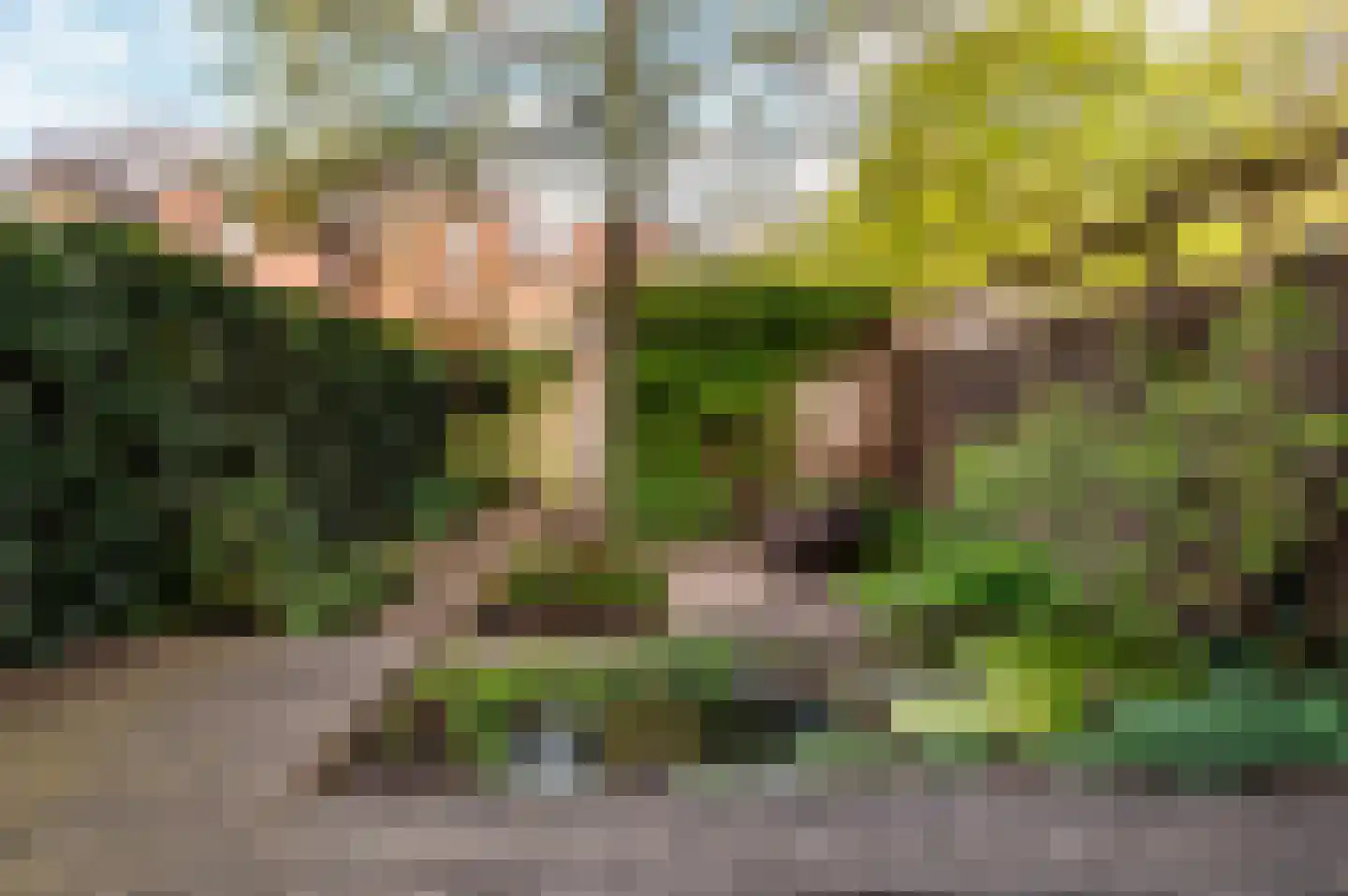 Groenhof 46 Almere thumbnail 17