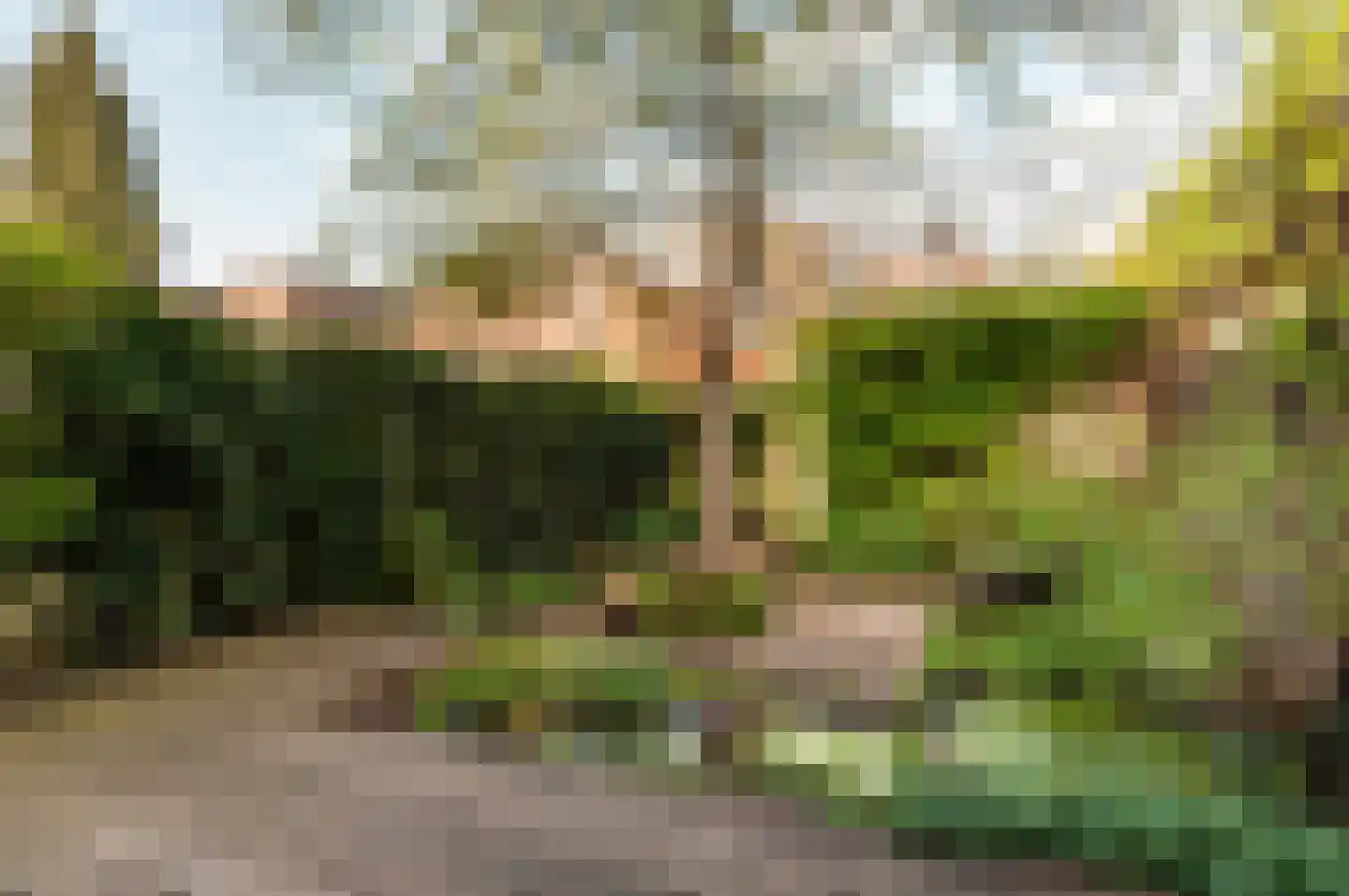 Groenhof 46 Almere thumbnail 18