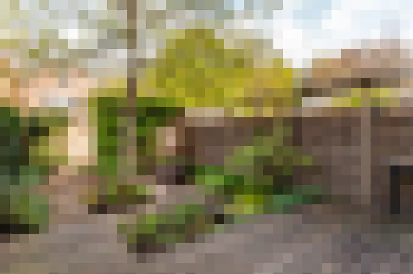 Groenhof 46 Almere thumbnail 19