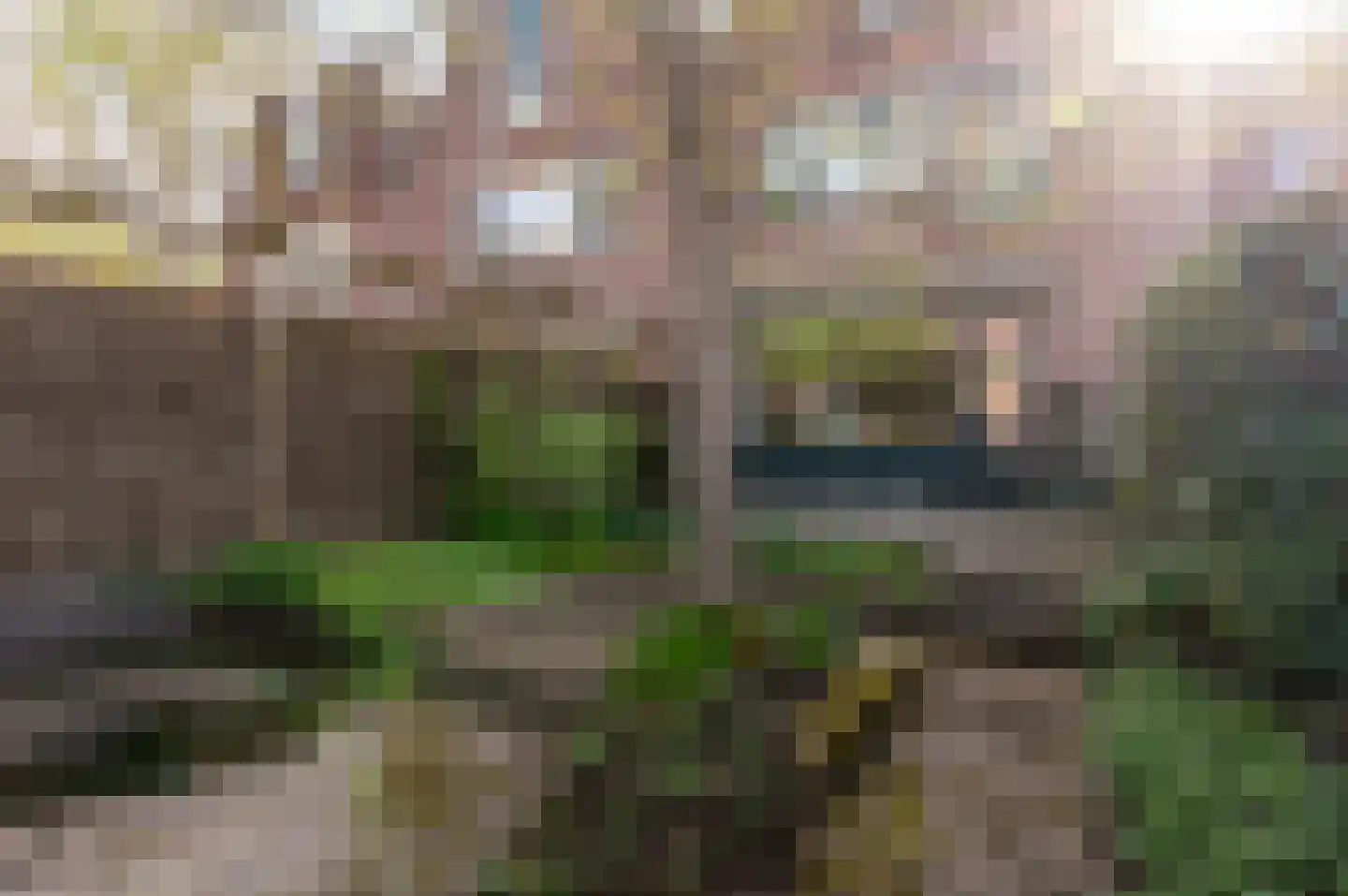Groenhof 46 Almere thumbnail 20