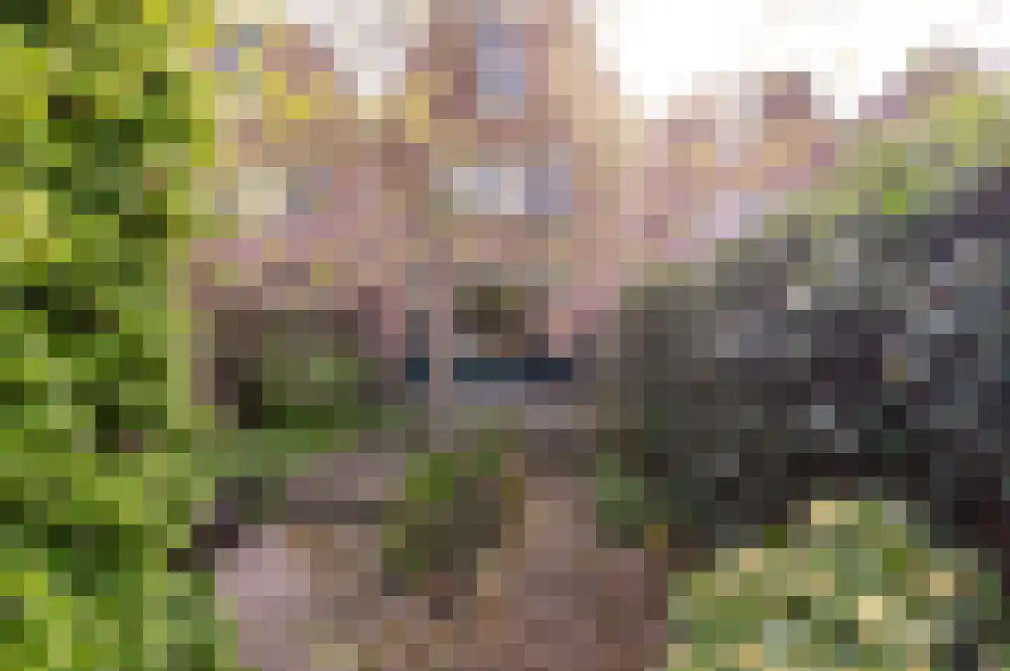 Groenhof 46 Almere thumbnail 4