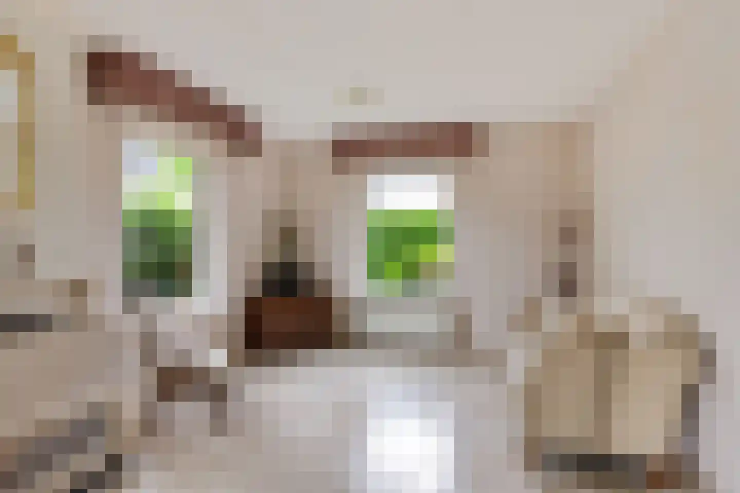 Groenhof 52 Joure thumbnail 10