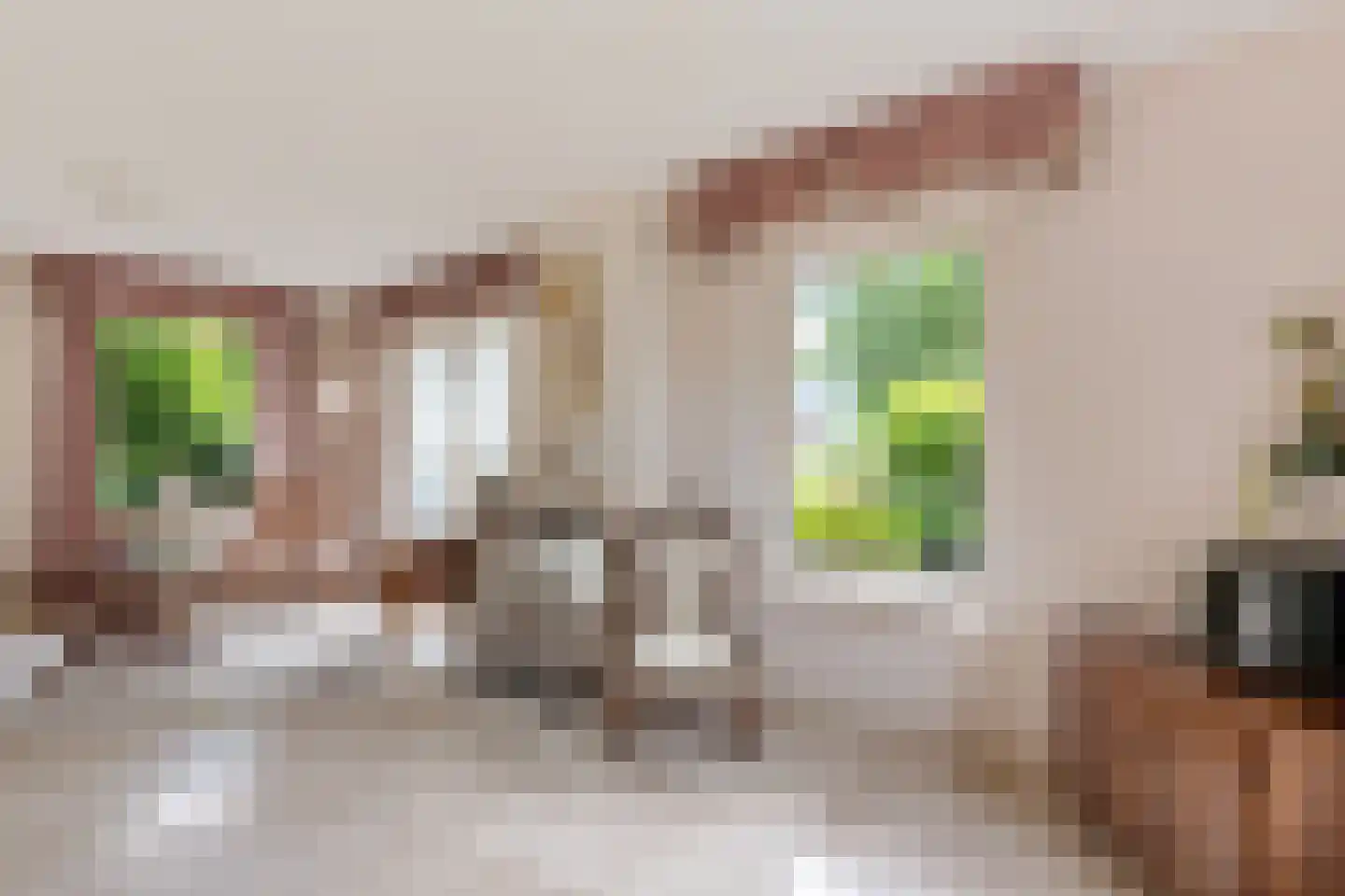 Groenhof 52 Joure thumbnail 11