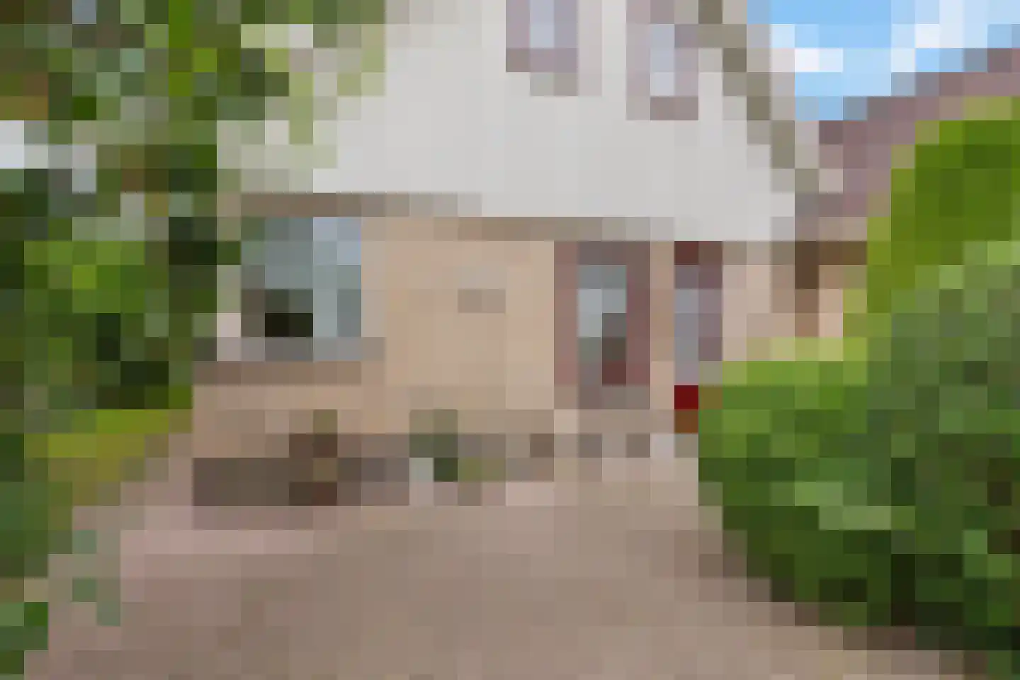 Groenhof 52 Joure thumbnail 34